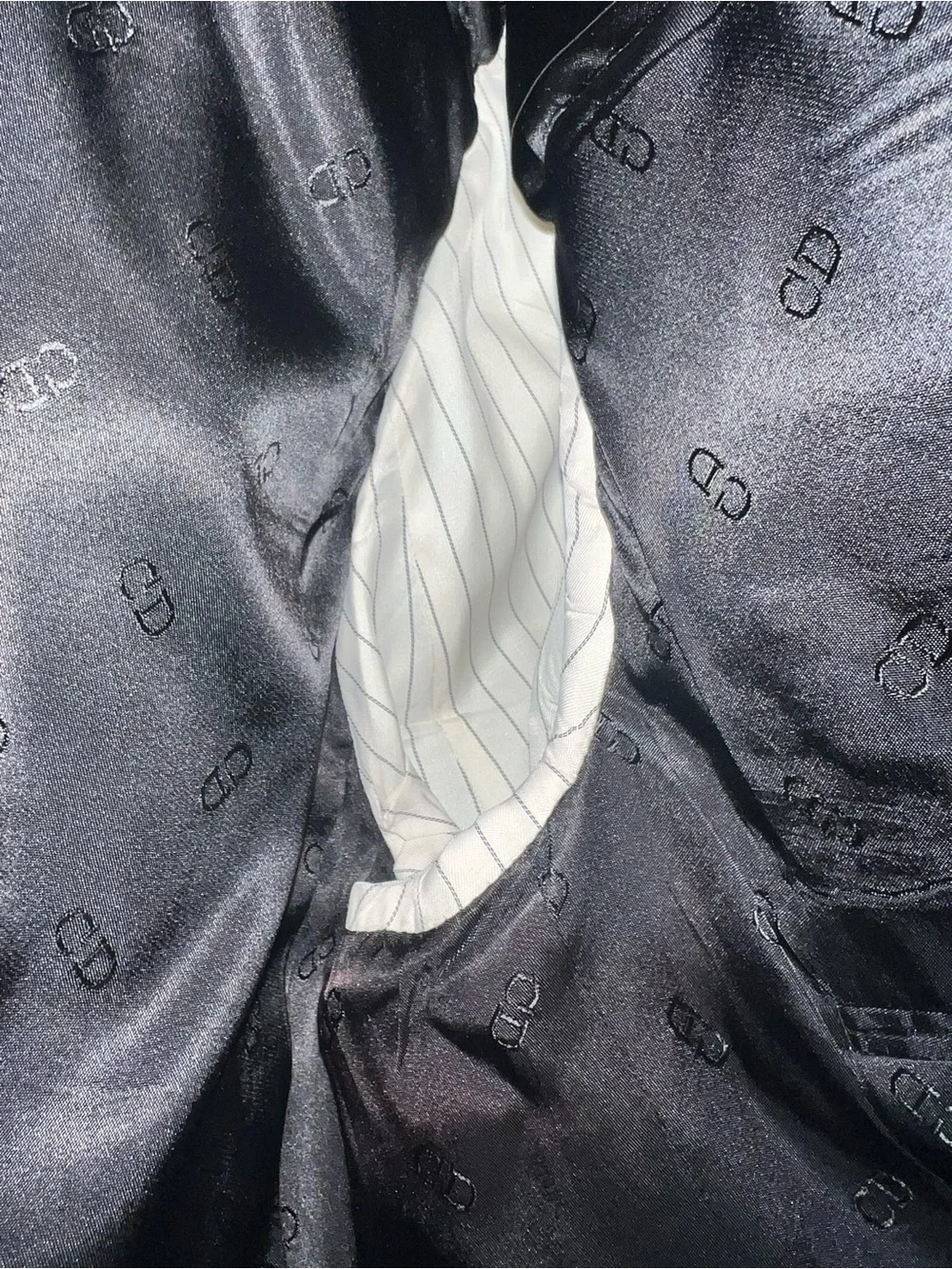 Dior elegant men